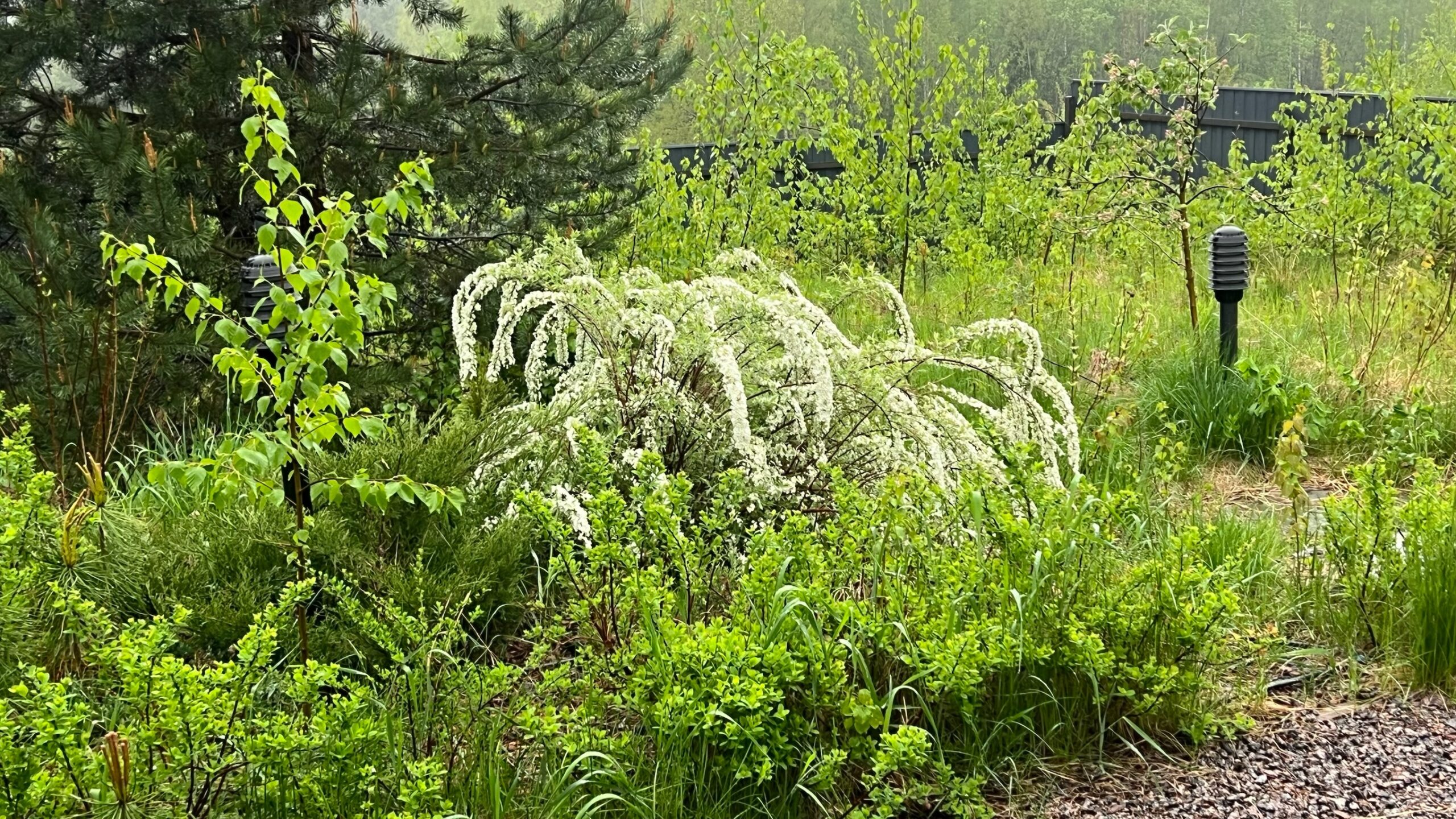 Мангальная зона